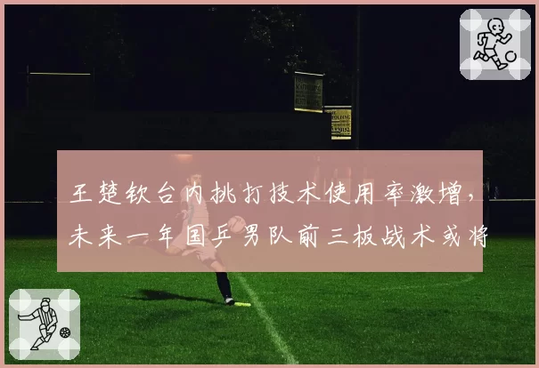 王楚钦台内挑打技术使用率激增，未来一年国乒男队前三板战术或将重塑