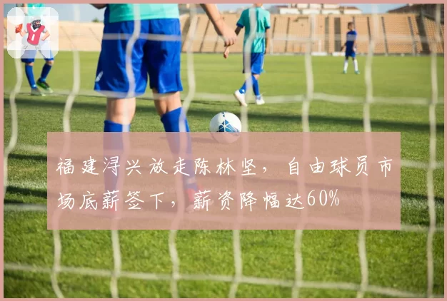 福建浔兴放走陈林坚，自由球员市场底薪签下，薪资降幅达60%